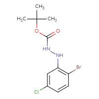 Chemical structure of N'-(2-bromo-5-chlorophenyl)(tert-butoxy)carbohydrazide - CSSB21331813320
