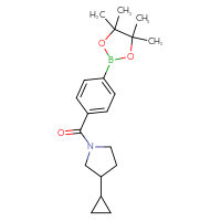 Chemical structure of 3-cyclopropyl-1-[4-(4,4,5,5-tetramethyl-1,3,2-dioxaborolan-2-yl)benzoyl]pyrrolidine - CSSB02533287658