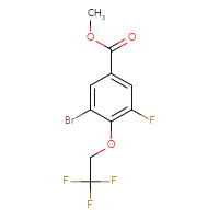 Chemical structure of methyl 3-bromo-5-fluoro-4-(2,2,2-trifluoroethoxy)benzoate - CSSB03219875873