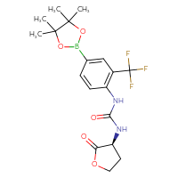 Chemical structure of 3-[(3S)-2-oxooxolan-3-yl]-1-[4-(4,4,5,5-tetramethyl-1,3,2-dioxaborolan-2-yl)-2-(trifluoromethyl)phenyl]urea - CSSB21332137919
