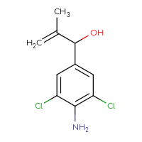 C10H11Cl2NO