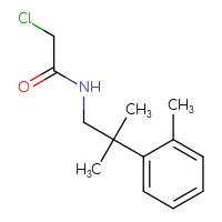 Chemical structure of 2-chloro-N-[2-methyl-2-(2-methylphenyl)propyl]acetamide - CSSB00044969414