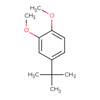 Chemical structure of 4-tert-butyl-1,2-dimethoxybenzene - CSSB00000077245