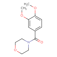 Chemical structure of 4-(3,4-dimethoxybenzoyl)morpholine - CSSB00000384858