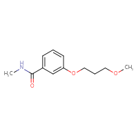 Chemical structure of 3-(3-methoxypropoxy)-N-methylbenzamide - CSSB01993089904