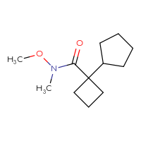 Chemical structure of 1-cyclopentyl-N-methoxy-N-methylcyclobutane-1-carboxamide - CSSB06779551775