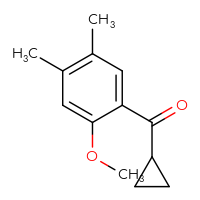 Chemical structure of cyclopropyl(2-methoxy-4,5-dimethylphenyl)methanone - CSSB00010181172