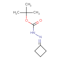 Chemical structure of N'-cyclobutylidene(tert-butoxy)carbohydrazide - CSSB00000055738