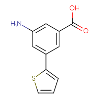 Chemical structure of 3-amino-5-(thiophen-2-yl)benzoic acid - CSSB00010140192