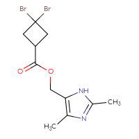 C11H14Br2N2O2