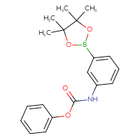 C19H22BNO4