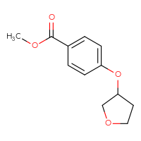 Chemical structure of methyl 4-(oxolan-3-yloxy)benzoate - CSSB00000722292