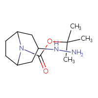 Chemical structure of tert-butyl 3-hydrazinyl-8-azabicyclo[3.2.1]octane-8-carboxylate - CSSB00015853503