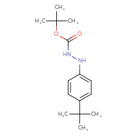 Chemical structure of N'-(4-tert-butylphenyl)(tert-butoxy)carbohydrazide - CSSB02517441882