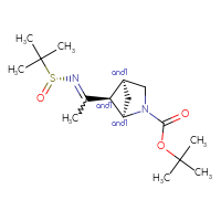 Chemical structure of tert-butyl (1RS,4SR,5SR)-5-(1-{[(R)-2-methylpropane-2-sulfinyl]imino}ethyl)-2-azabicyclo[2.1.1]hexane-2-carboxylate - CSSB21331814512