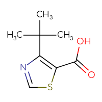 Chemical structure of 4-tert-butyl-1,3-thiazole-5-carboxylic acid - CSSB00000765633