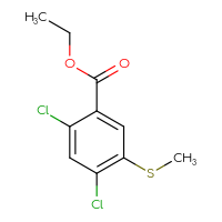 C10H10Cl2O2S