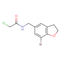 Chemical structure of N-[(7-bromo-2,3-dihydro-1-benzofuran-5-yl)methyl]-2-chloroacetamide - CSSB14939805018