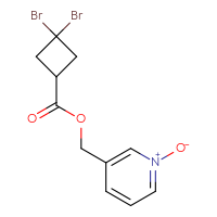 C11H11Br2NO3