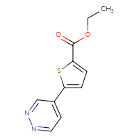 Chemical structure of ethyl 5-(pyridazin-4-yl)thiophene-2-carboxylate - CSSB04428838925