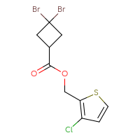 C10H9Br2ClO2S