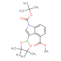 Chemical structure of 1-tert-butyl 4-methyl 3-(4,4,5,5-tetramethyl-1,3,2-dioxaborolan-2-yl)-1H-indole-1,4-dicarboxylate - CSSB00010203075