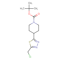 Chemical structure of tert-butyl 4-[5-(chloromethyl)-1,3,4-thiadiazol-2-yl]piperidine-1-carboxylate - CSSB00160572945