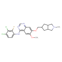 C24H25Cl2FN4O2