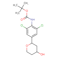 C16H21Cl2NO4