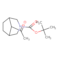 Chemical structure of tert-butyl 8-acetyl-3-azabicyclo[3.2.1]octane-3-carboxylate - CSSB00024139648