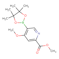 Chemical structure of methyl 4-methoxy-5-(4,4,5,5-tetramethyl-1,3,2-dioxaborolan-2-yl)pyridine-2-carboxylate - CSSB00010039890