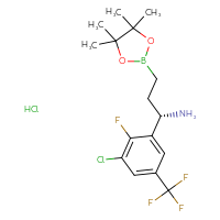 C16H22BCl2F4NO2