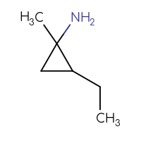 C6H13N