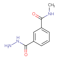 Chemical structure of 3-(hydrazinecarbonyl)-N-methylbenzamide - CSSB03509339987