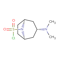 Chemical structure of (1R,3R,5S)-3-(dimethylamino)-8-azabicyclo[3.2.1]octane-8-sulfonyl chloride - CSSB06376895888