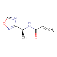 Chemical structure of N-[(1S)-1-(1,2,4-oxadiazol-3-yl)ethyl]prop-2-enamide - CSSB20579121815