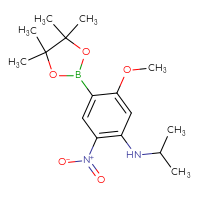 C16H25BN2O5