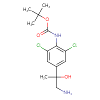 C14H20Cl2N2O3