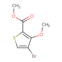 Chemical structure of methyl 4-bromo-3-methoxythiophene-2-carboxylate - CSSB00009814288