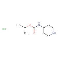 Chemical structure of propan-2-yl N-(piperidin-4-yl)carbamate hydrochloride - CSSB00160564978