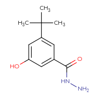 Chemical structure of 3-tert-butyl-5-hydroxybenzohydrazide - CSSB21151596171