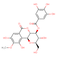 Chemical structure of (2S,4R,5R,6S,7S)-5,12,14-trihydroxy-4-(hydroxymethyl)-13-methoxy-9-oxo-3,8-dioxatricyclo[8.4.0.0²,⁷]tetradeca-1(14),10,12-trien-6-yl 3,4,5-trihydroxybenzoate - CSSB00137409977