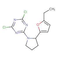 Chemical structure of 2,4-dichloro-6-[2-(5-ethylfuran-2-yl)pyrrolidin-1-yl]-1,3,5-triazine - CSSB21332135625