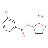 Chemical structure of 3-bromo-N-(2-methyloxolan-3-yl)benzamide - CSSB00013100378