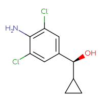C10H11Cl2NO