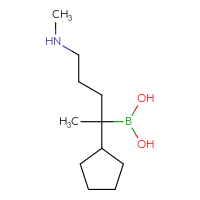 C11H24BNO2