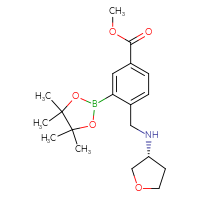 C19H28BNO5