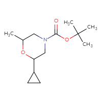 Chemical structure of tert-butyl 2-cyclopropyl-6-methylmorpholine-4-carboxylate - CSSB00113647005