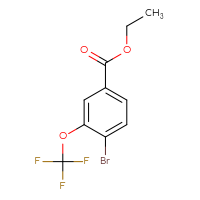 Chemical structure of ethyl 4-bromo-3-(trifluoromethoxy)benzoate - CSSB00103387566
