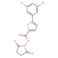 Chemical structure of 2,5-dioxopyrrolidin-1-yl 5-(3,5-dichlorophenyl)thiophene-2-carboxylate - CSSB20269912679